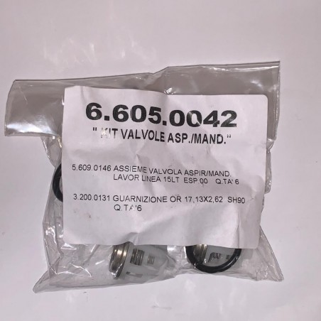 Lavor kit valvole testata 6.605.0042