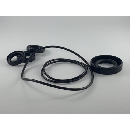 Kit tenute olio pompe idropulitrici annovi reverberi black&decker 1855