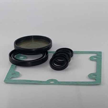 Kit tenute olio guarnizioni idropulitrici annovi reverberi originali 1860 xtv