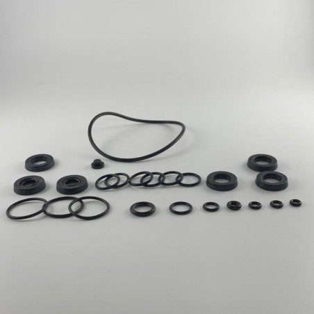 KIT 42438 oring pompa idropulitrice Annovi Reverberi