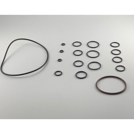 KIT 42470 o-ring Annovi Reverberi
