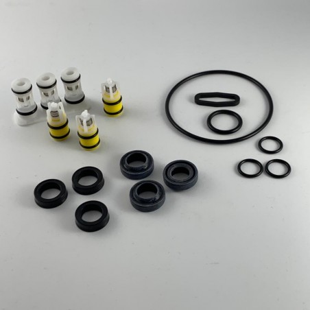Kit revisione Pompa Lavor PASCAL 20
